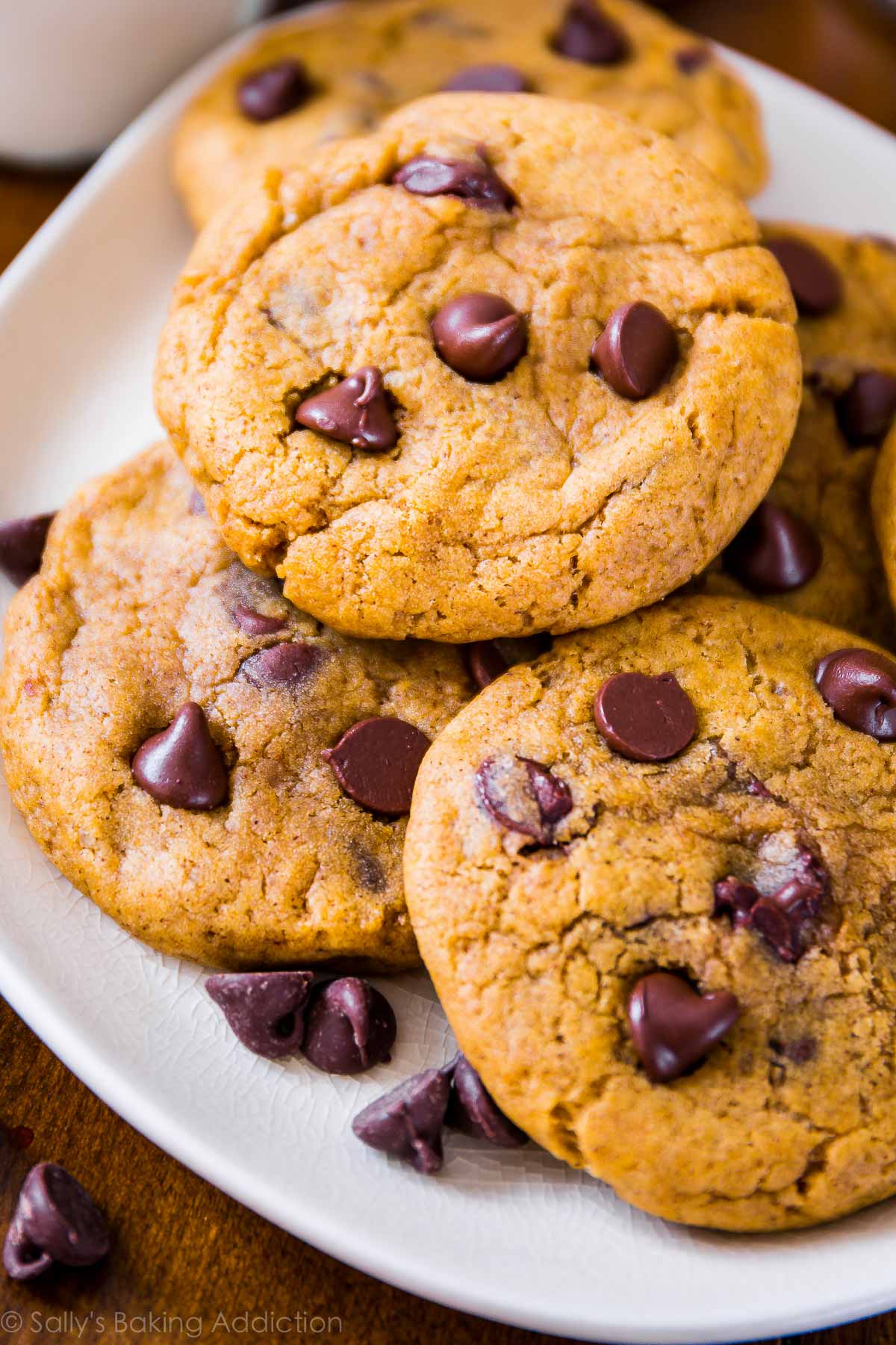 Ces biscuits aux pépites de chocolat à la citrouille CHEWY sont à essayer cet automne! Recette sur sallysbakingaddiction.com
