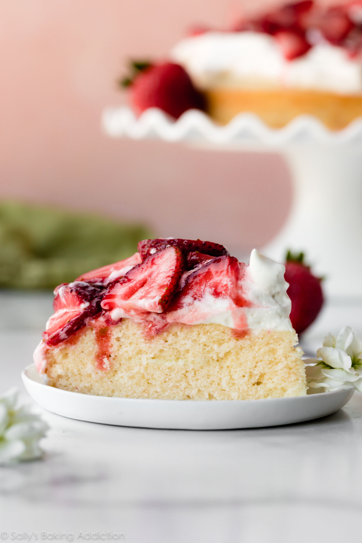 Gâteau vanille à une couche avec crème fouettée et fraises
