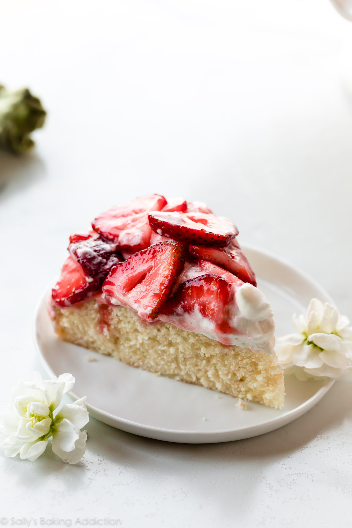 Gâteau vanille à une couche garni de crème fouettée et de fraises juteuses