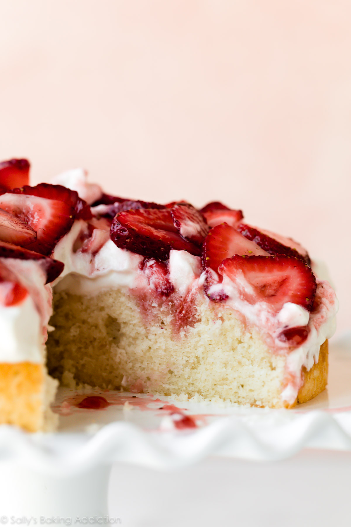 Gâteau vanille à une couche garni de crème fouettée et de fraises juteuses