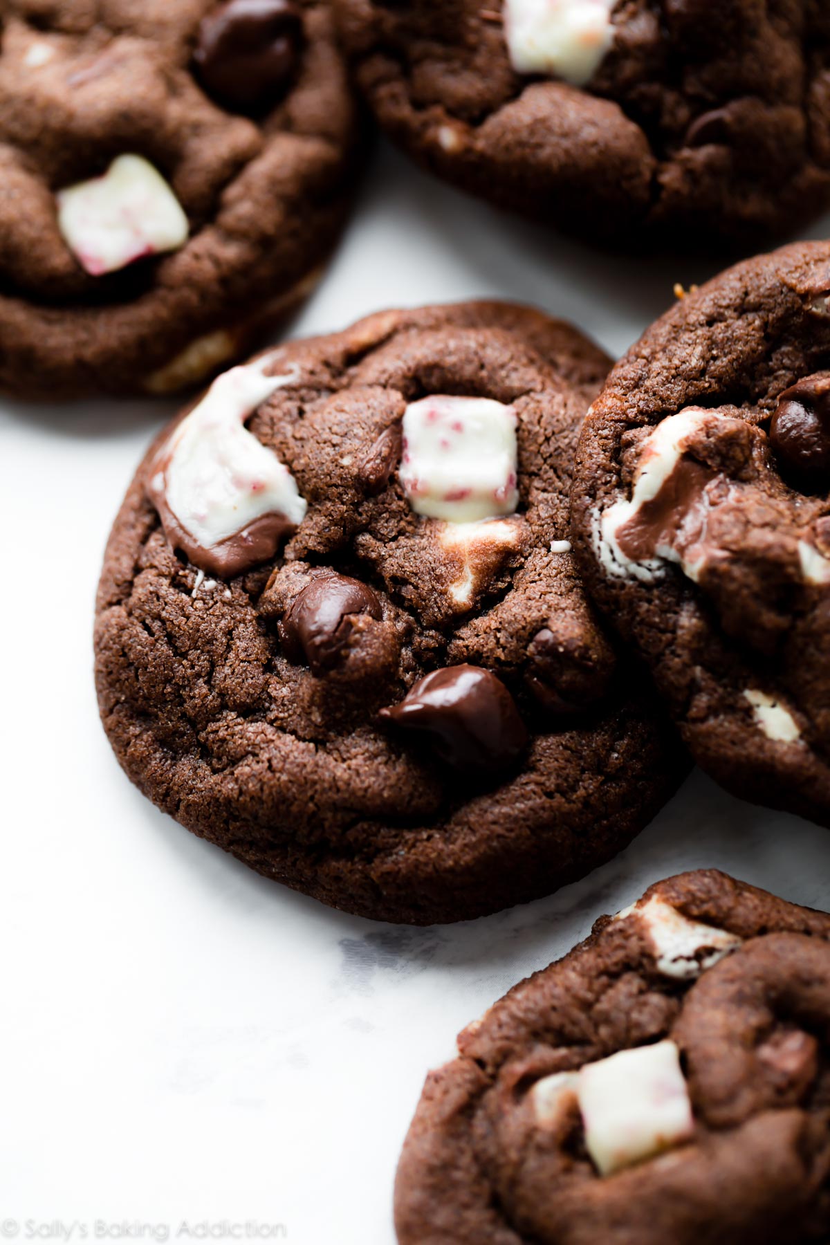 Biscuits à l'écorce de menthe poivrée au chocolat