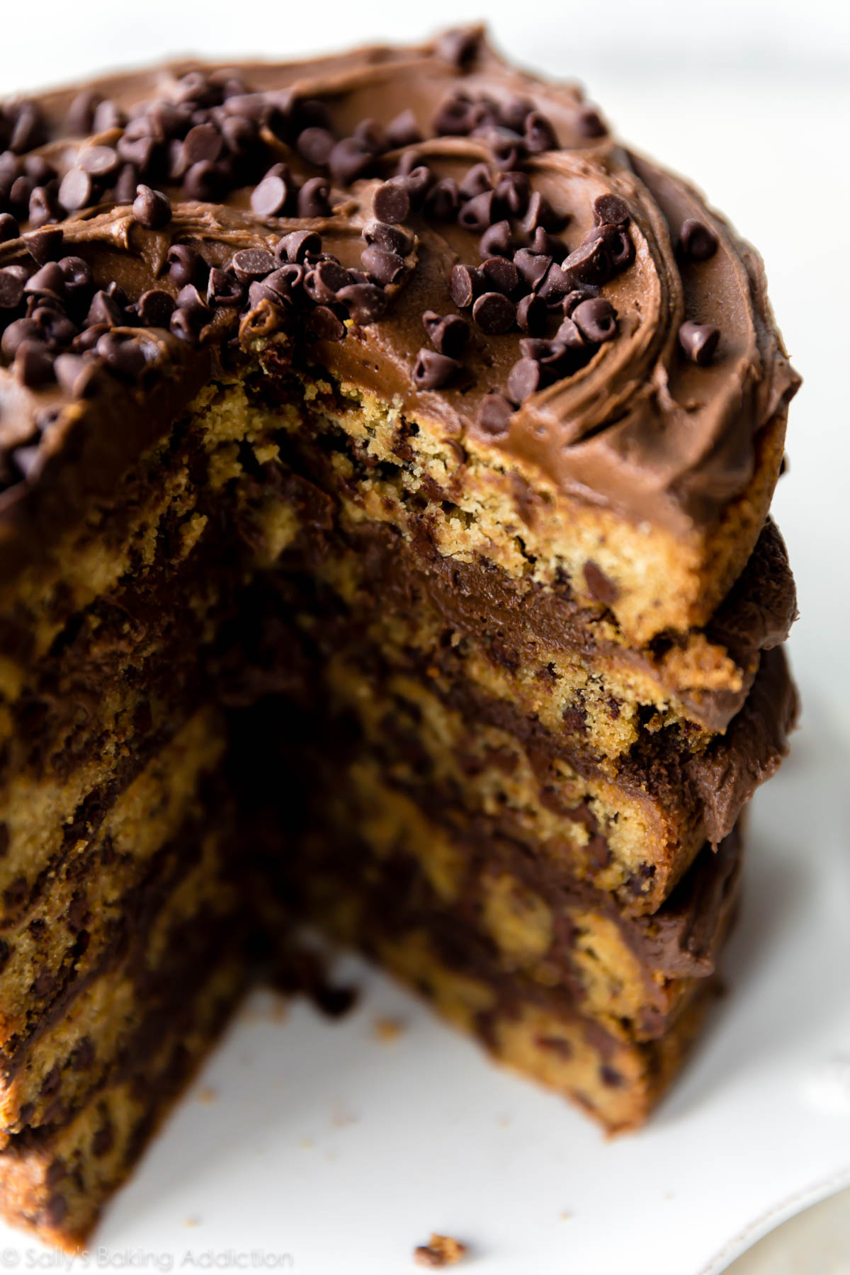 5 couches de gâteau aux cookies aux pépites de chocolat! Recette de gâteau aux biscuits aux pépites de chocolat avec glaçage au chocolat sur sallysbakingaddiction.com