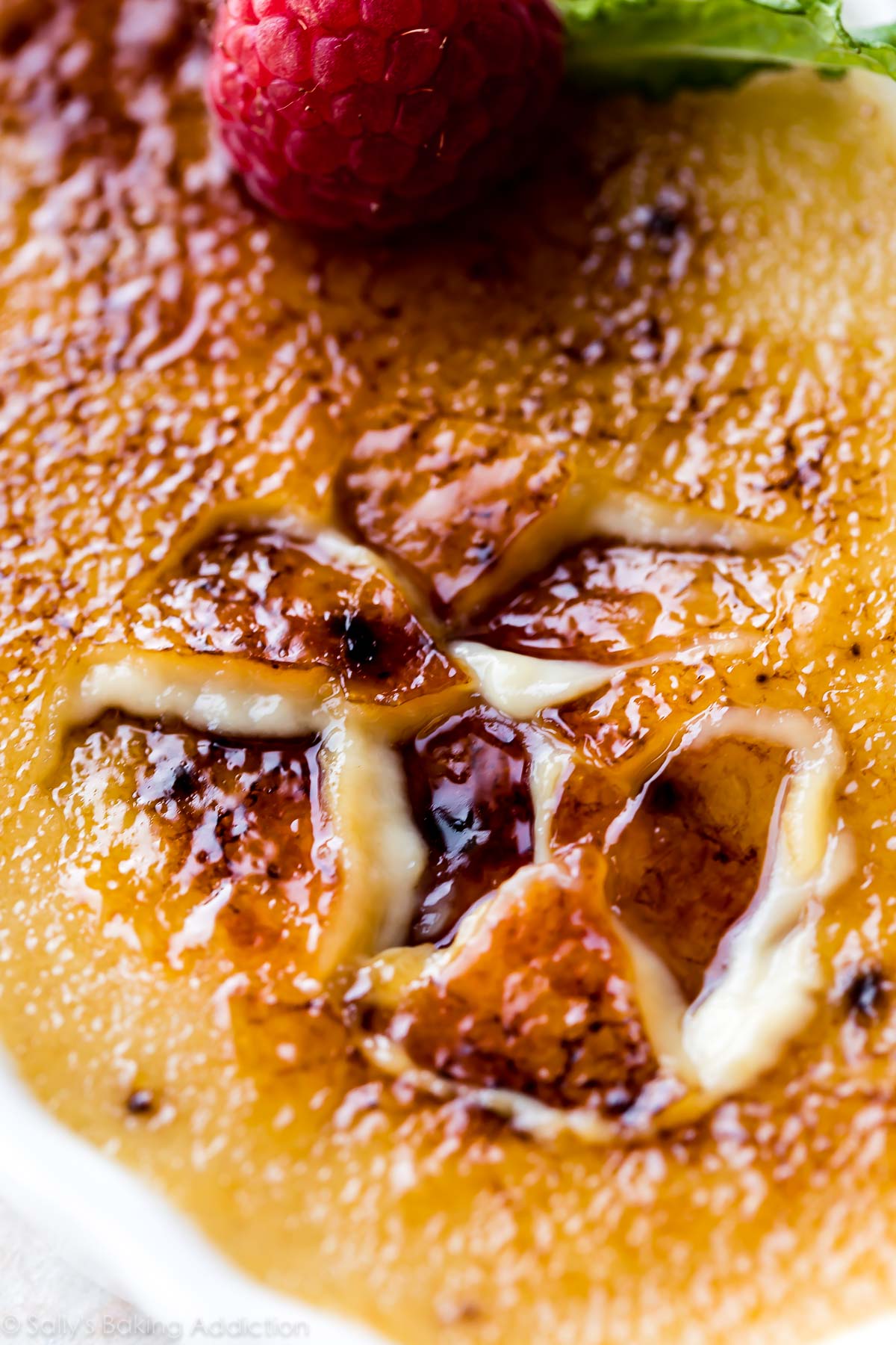 La MEILLEURE et la plus crémeuse recette de crème brûlée! Moucheté d'espresso et de vanille, vous n'avez que 6 ingrédients simples et ils sont prêts à cuire en seulement 10 minutes! Recette sur sallysbakingaddiction.com