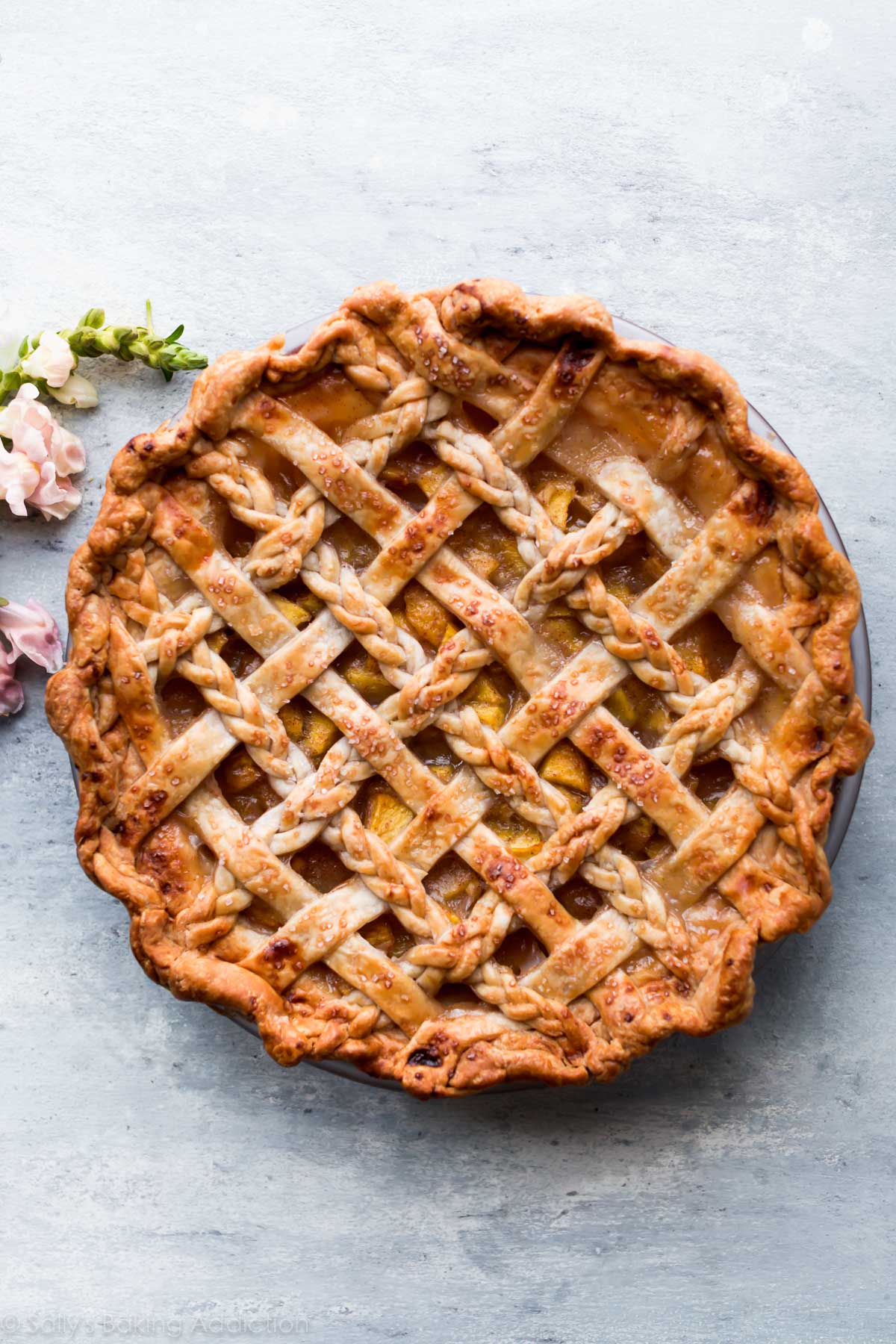 C'est la MEILLEURE tarte aux pêches! Croûte de tarte au beurre et tarte aux pêches maison juteuse remplie de gingembre frais pour une saveur améliorée! Recette sur sallysbakingaddiction.com