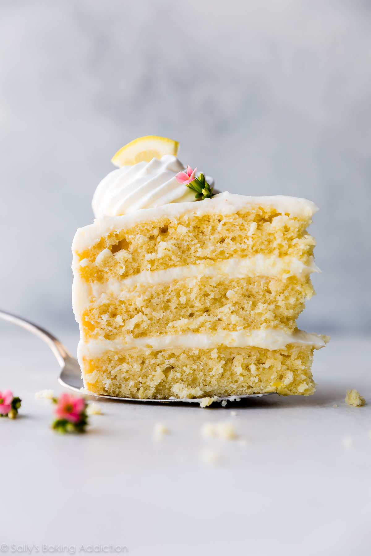 Gâteau moelleux au citron avec glaçage à la crème au beurre et au fromage à la crème au citron! Délicieuse recette de gâteau au citron fait maison sur sallysbakingaddiction.com