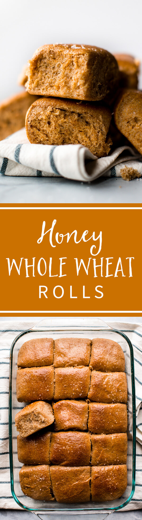 Petits pains au blé entier au miel doux, copieux et sucré! Recette de rouleaux de blé entier faits maison sur sallysbakingaddiction.com