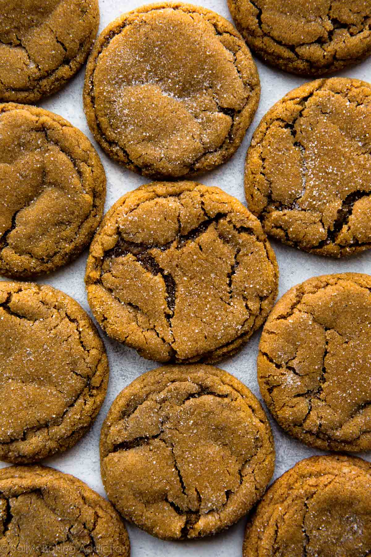 Les biscuits à la mélasse très doux et moelleux seront votre biscuit de Noël préféré! Tant de saveurs délicieuses dans une recette de biscuit facile. Recette sur sallysbakingaddiction.com