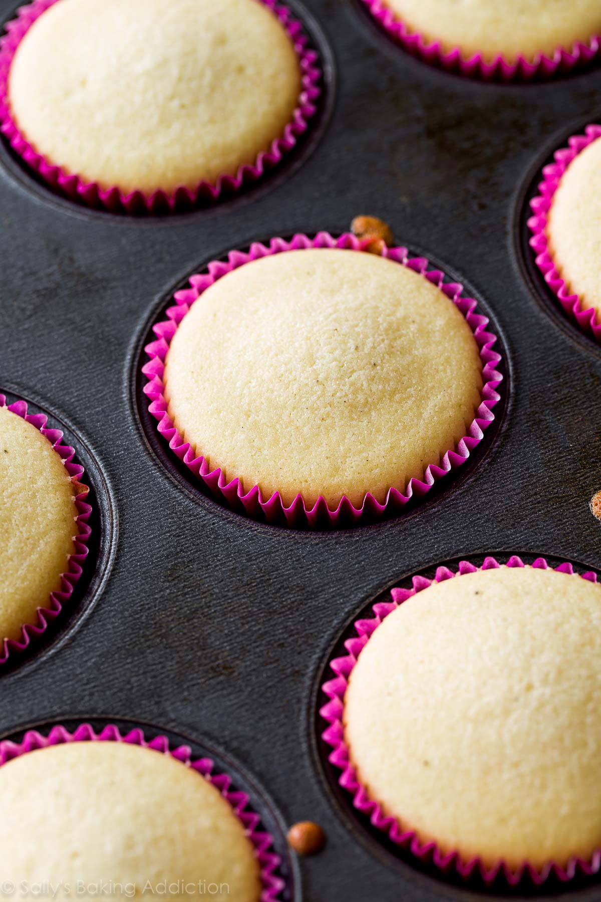 Comment faire des cupcakes au beurre d'arachide et à la gelée sur sallysbakingaddiction.com