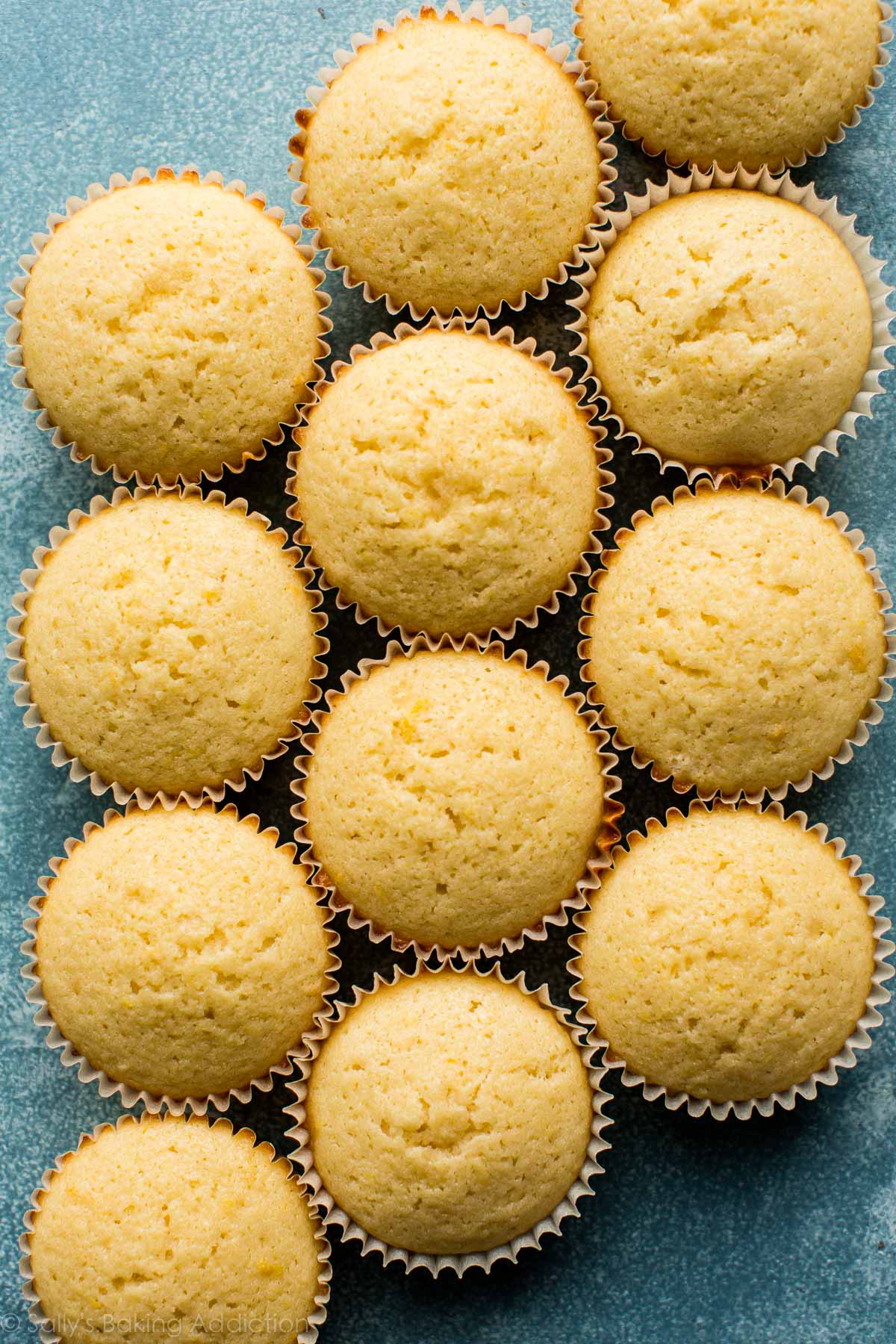 Cupcakes au citron à partir de zéro sur sallysbakingaddiction.com