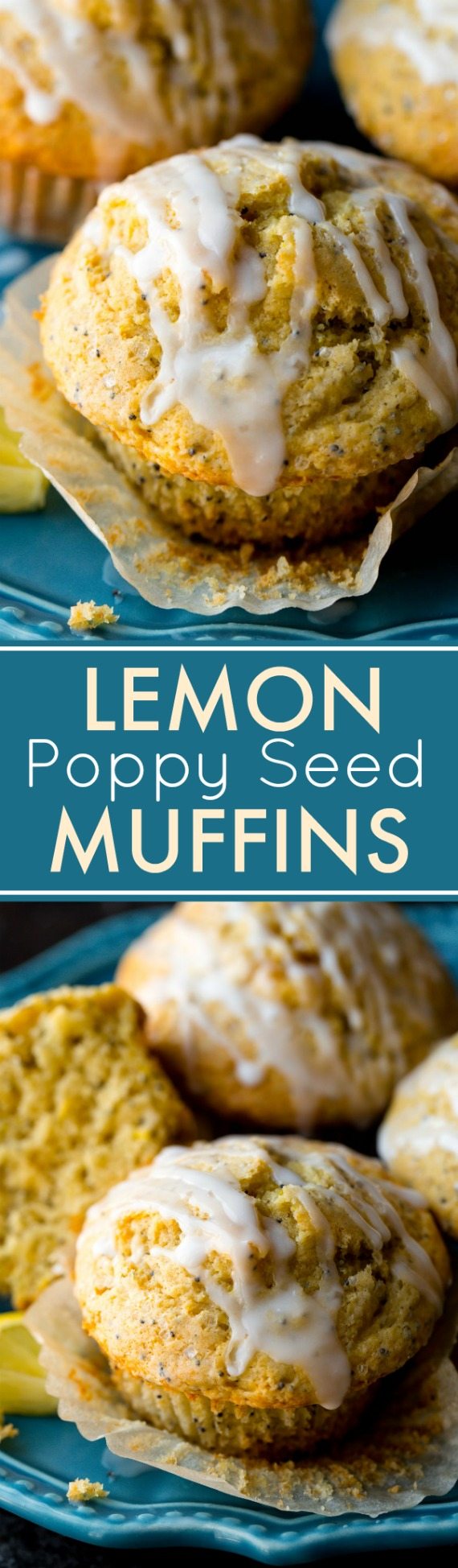 Ce sont mes muffins préférés aux graines de pavot et au citron! Recette douce et moelleuse sur sallysbakingaddiction.com