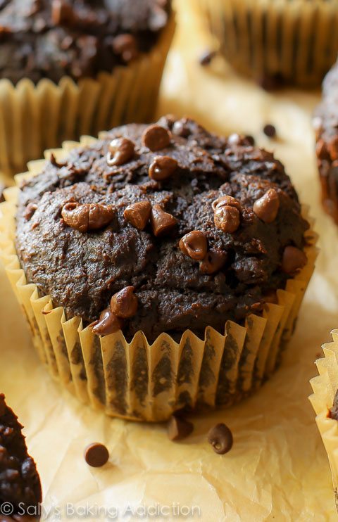 Muffins aux épices citrouille et chocolat de 130 calories par sallysbakingaddiction.com. Des muffins moelleux pleins de saveur et légers en calories!