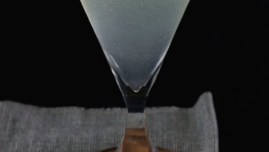 Photo of Airmail Cocktail