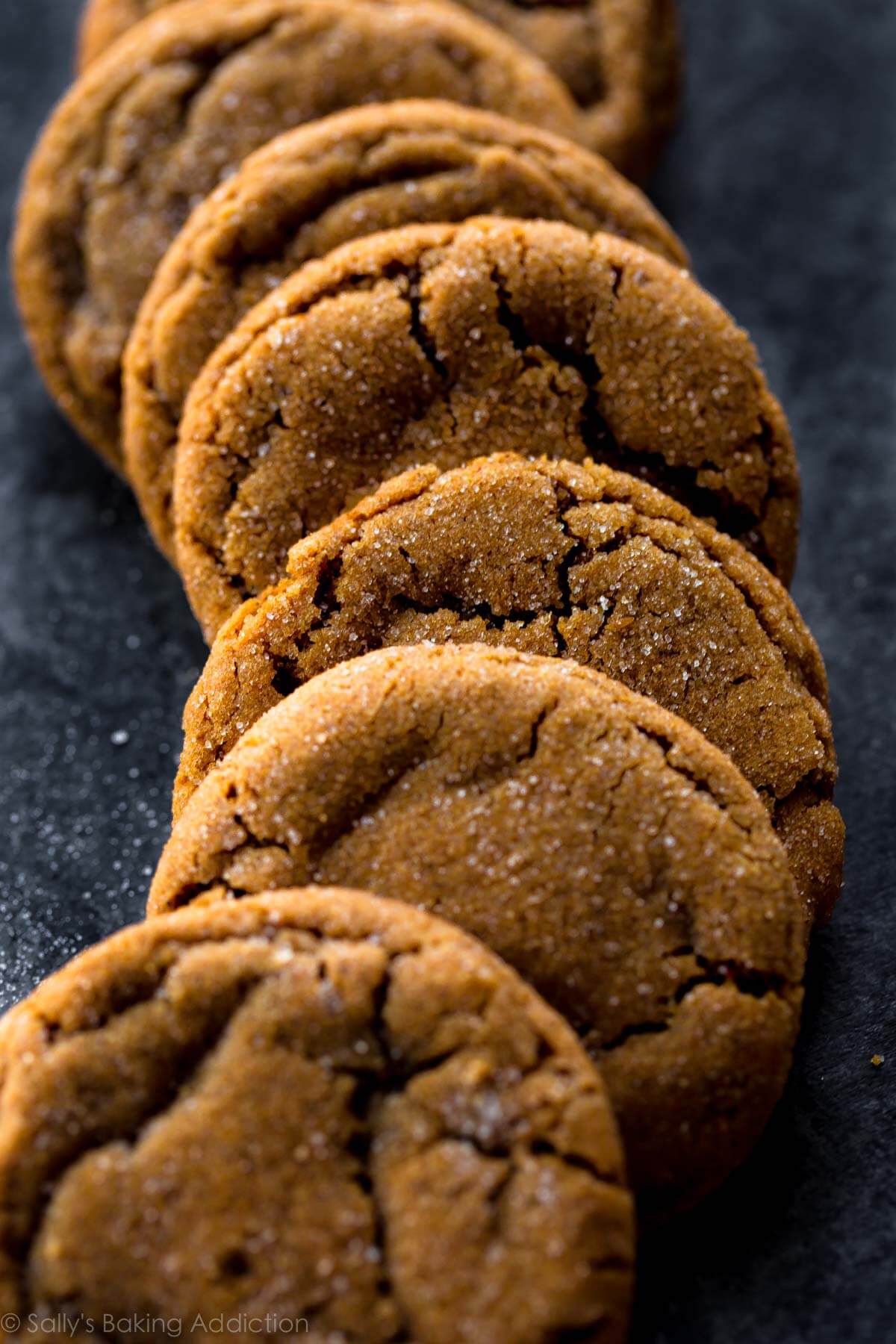 Les biscuits à la mélasse très doux et moelleux seront votre biscuit de Noël préféré! Tant de saveurs délicieuses dans une recette de biscuit facile. Recette sur sallysbakingaddiction.com