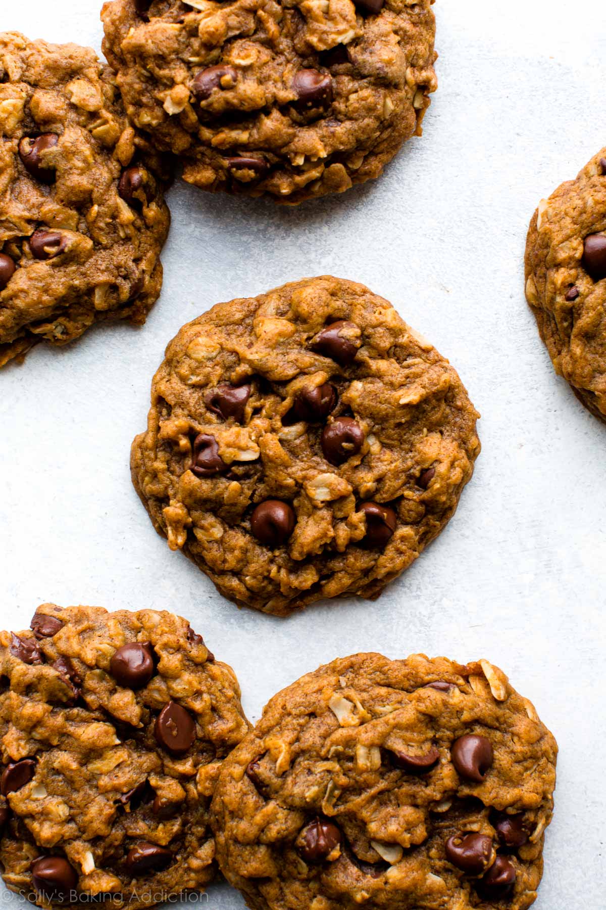 Comment faire des cookies aux pépites de chocolat à l'avoine et à la citrouille super moelleux et CHEWY sur sallysbakingaddiction.com