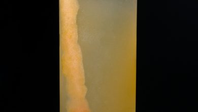 Photo of Endless Summer Cocktail
