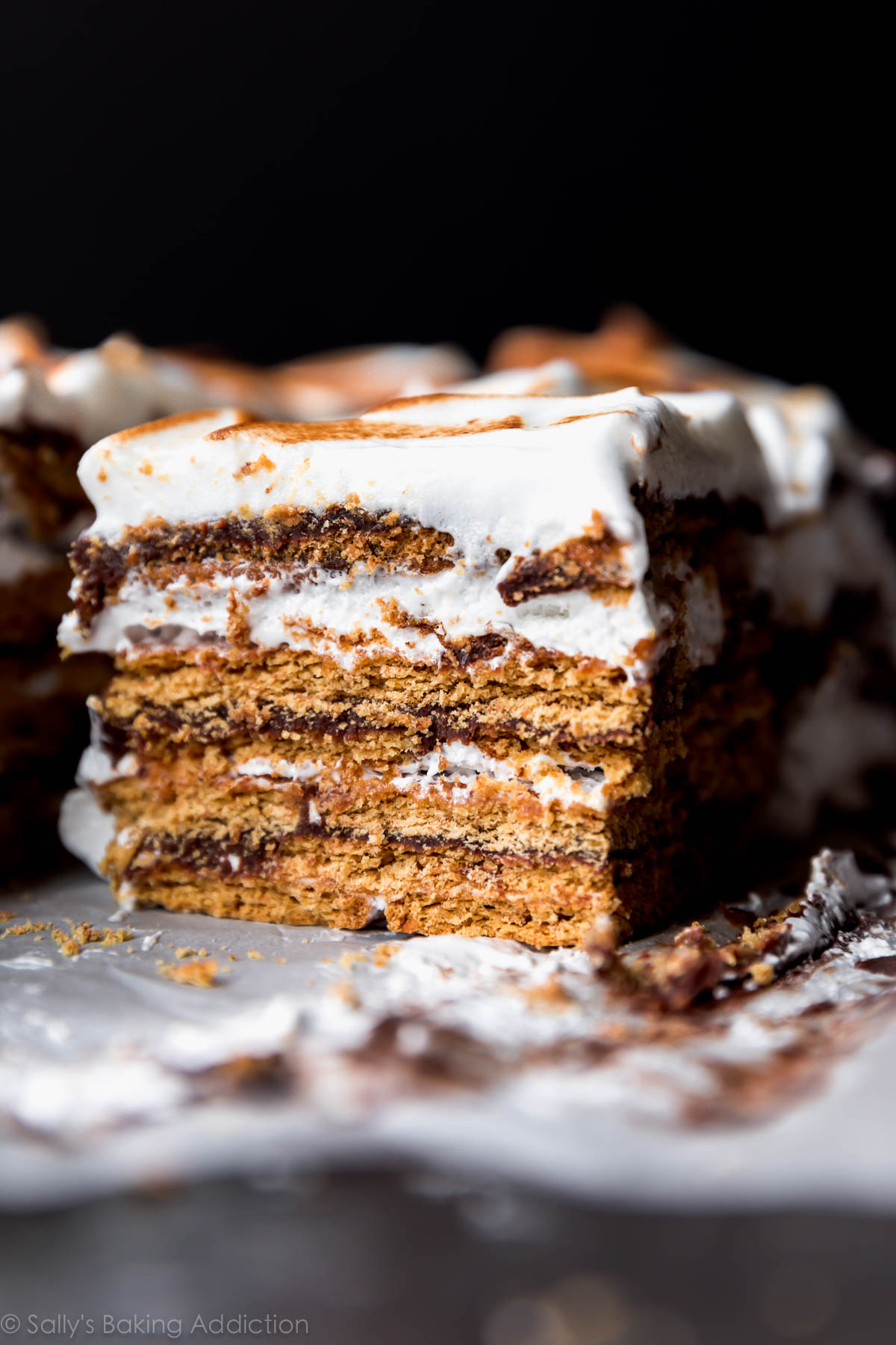 Le gâteau s'mores sans cuisson comprend 14 couches, notamment du biscuit Graham, de la ganache au chocolat et de la meringue à la guimauve! Recette sur sallysbakingaddiction.com