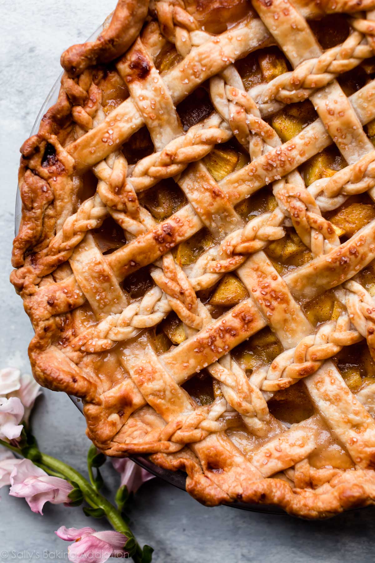 C'est la MEILLEURE tarte aux pêches! Croûte de tarte au beurre et tarte aux pêches maison juteuse remplie de gingembre frais pour une saveur améliorée! Recette sur sallysbakingaddiction.com