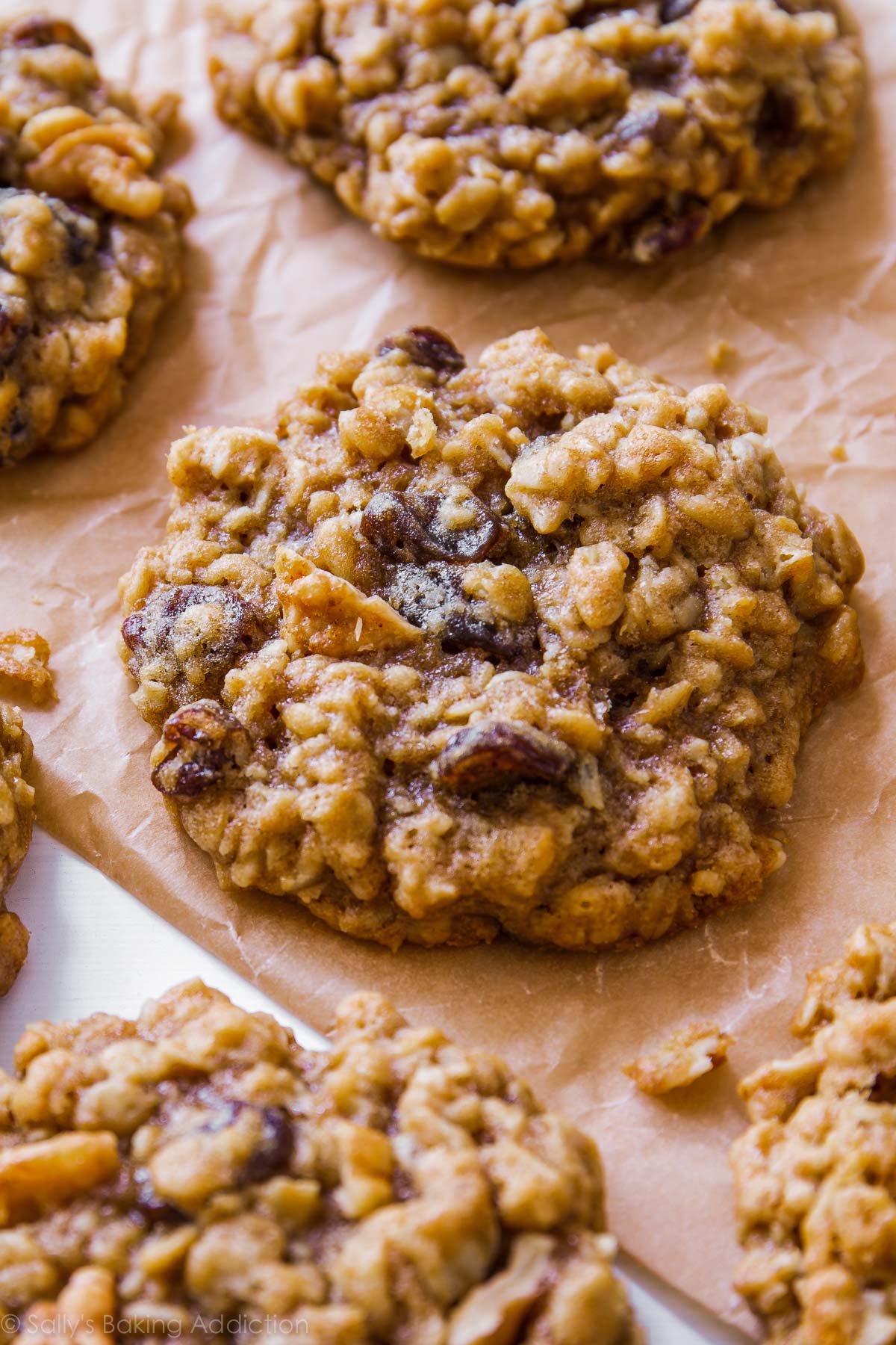 Biscuits Moelleux Et Moelleux Aux Raisins Et à L'avoine - Recettes Du Monde