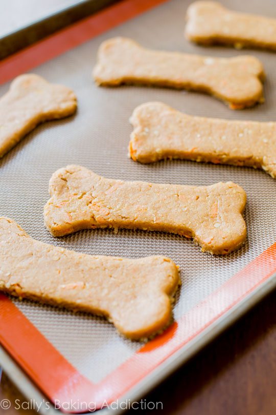 Friandises pour chiens molles faites maison avec du beurre d'arachide, de la carotte, de l'avoine et de la farine de blé entier. FUN et facile à faire!