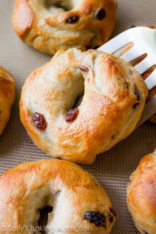 Voici exactement comment faire des bagels aux raisins et à la cannelle faits maison avec beaucoup de photos étape par étape! Cliquez pour la recette sur sallysbakingaddiction.com