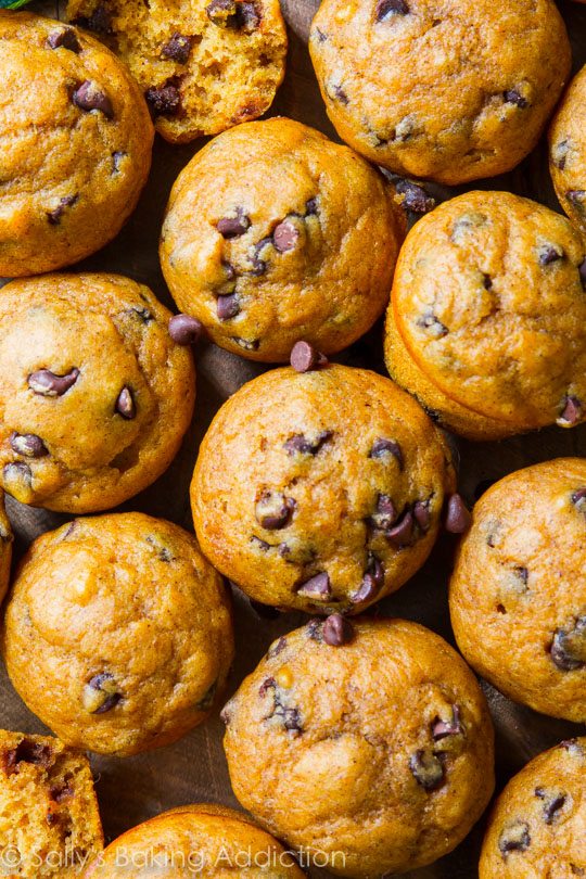 Muffins aux pépites de chocolat et à la citrouille à base de farine de blé entier et seulement 60 calories chacun!