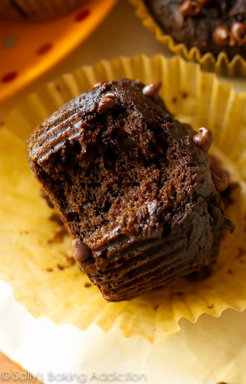 Muffins au chocolat et à la citrouille avec seulement 130 calories chacun!