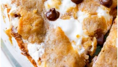 Photo of Gâteau aux biscuits aux pépites de chocolat S’mores