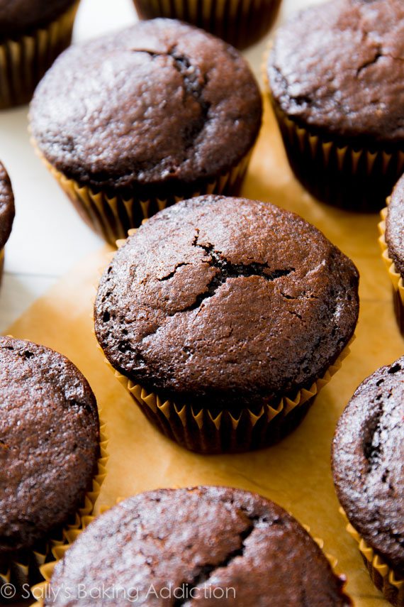 Les cupcakes au chocolat les plus savoureux et humides que j'ai jamais faits!