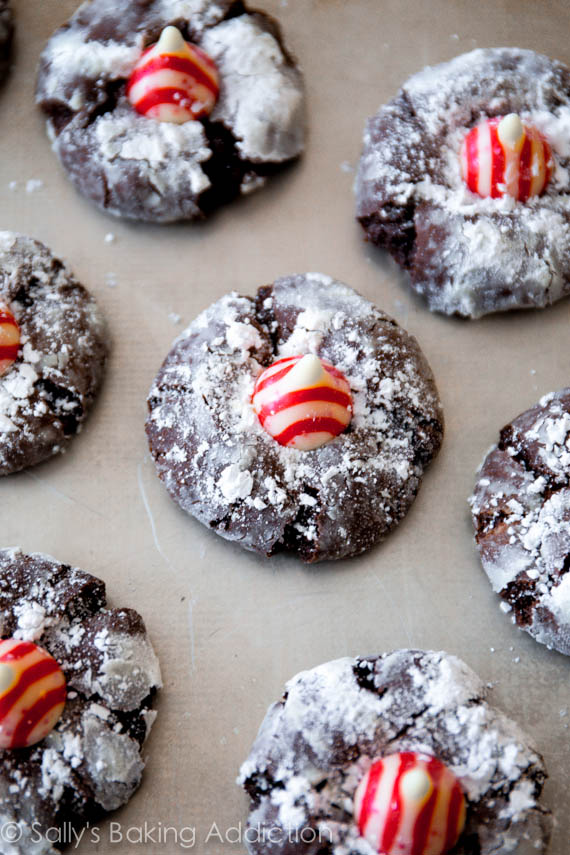 Biscuits festifs au chocolat et à la canne à sucre sur sallysbakingaddiction.com