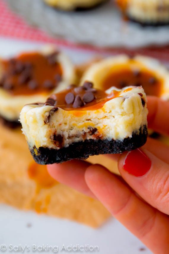 Mini gâteaux au fromage aux pépites de chocolat avec une croûte de biscuits Oreo et du caramel salé maison. sallysbakingaddiction.com