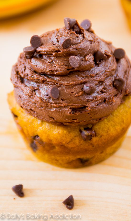 Un cupcake aux pépites de chocolat et à la citrouille, super moelleux et garni d'un riche glaçage au chocolat noir! Recette sur sallysbakingaddiction.com