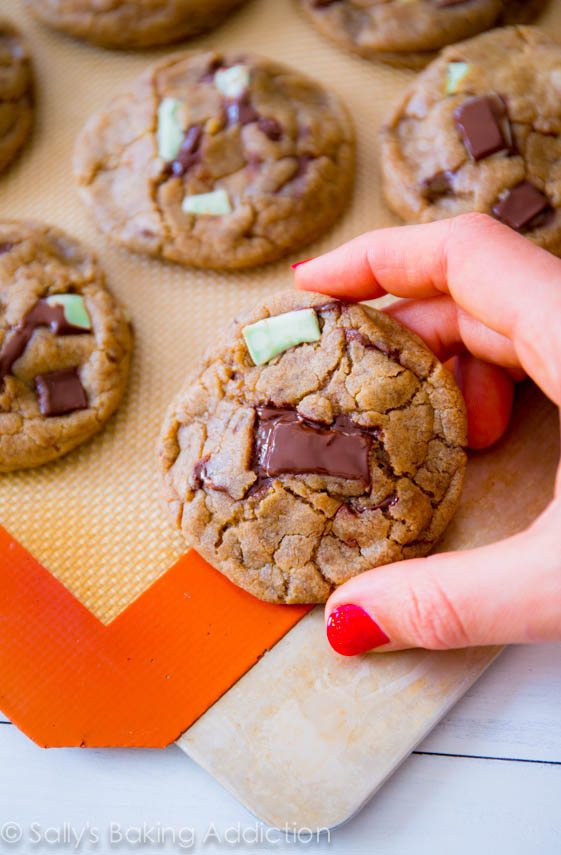 Biscuits moelleux au chocolat à la menthe et à la menthe, plus les secrets des biscuits moelleux et moelleux! Recette sallysbakingaddiction.com