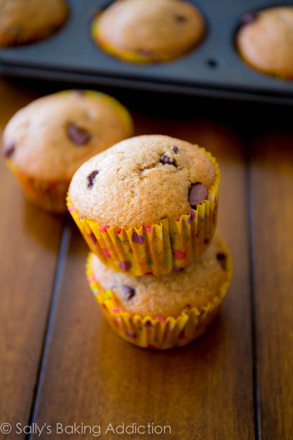 Cupcakes aux pépites de chocolat aux bananes, moelleux et savoureux. Ce sont incroyables! Recette sur sallysbakingaddiction.com