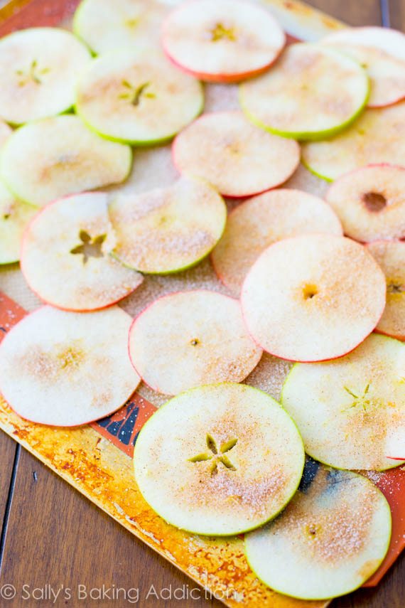 Des croustilles de pommes faciles à cuire! Croustillant, croquant, bon marché et simple. Ce sont tellement addictif et tout ce que vous mangez est des pommes. sallysbakingaddiction.com