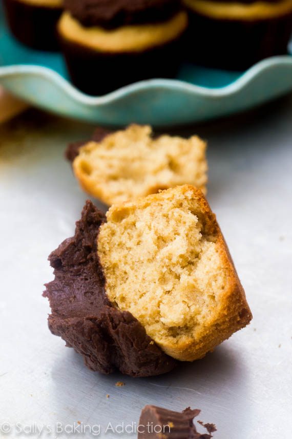 Cupcakes au beurre d’arachide avec glaçage au chocolat noir par sallysbakingaddiction.com