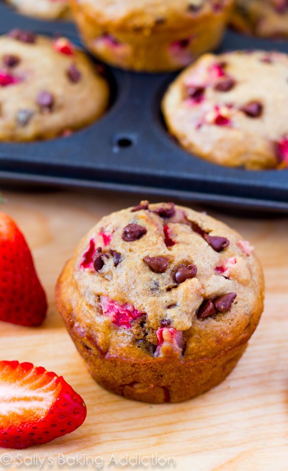 Incroyables muffins aux pépites de chocolat « allégés » avec des fraises fraîches. Presque sans gras et seulement 140 calories chacun! @sallybakeblog