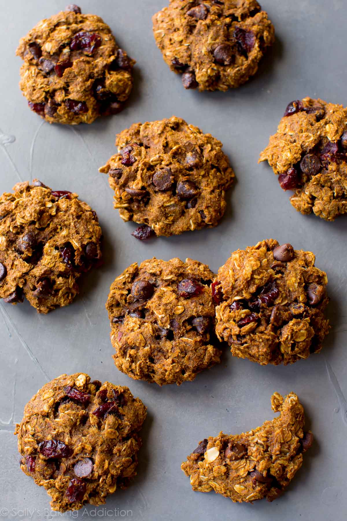 Biscuits à l’avoine aux pépites de chocolat à la citrouille plus saines avec des canneberges séchées! Facile et rapide! Recette sur sallysbakingaddiction.com