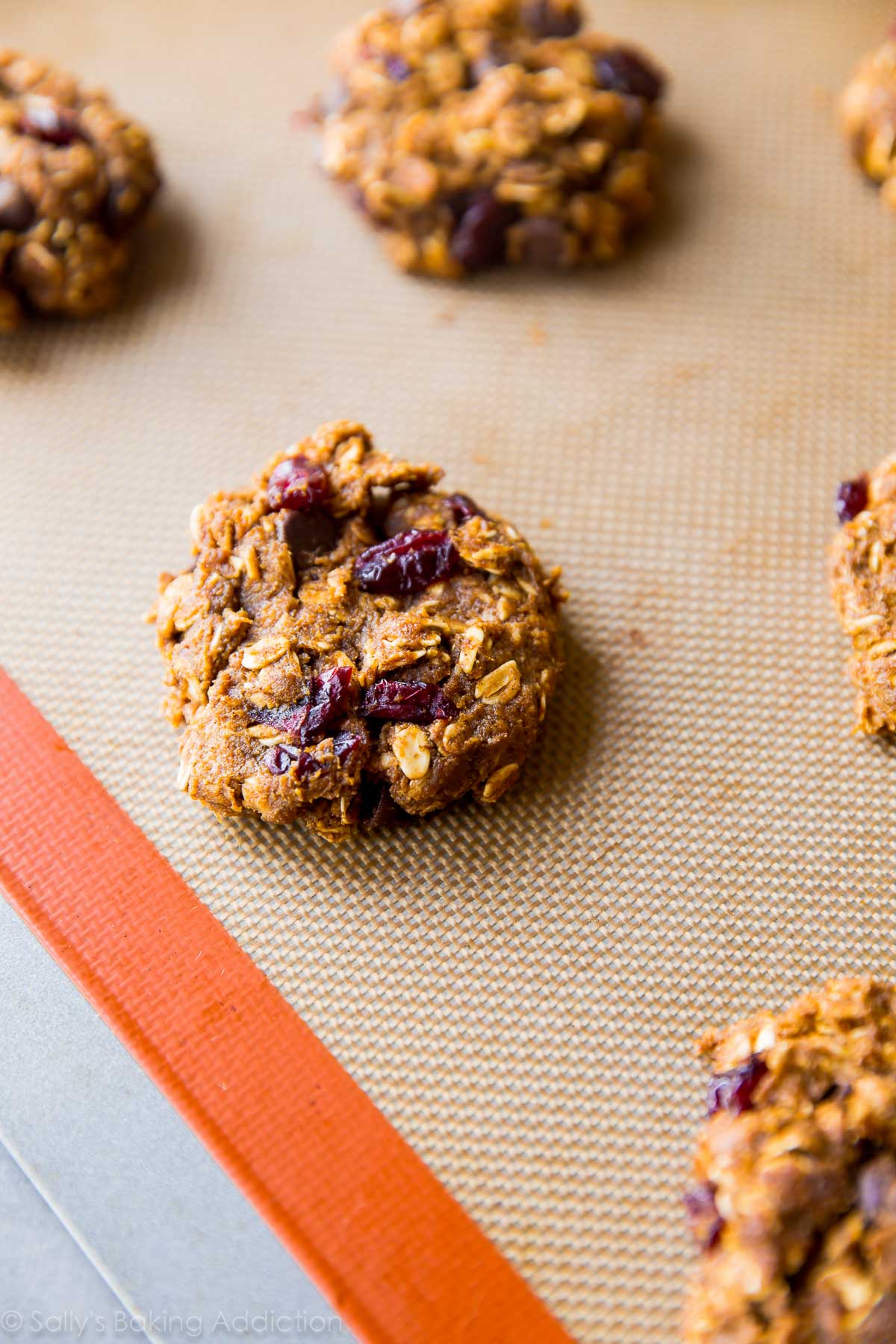 Comment faire des biscuits à base d’avoine aux pépites de chocolat à la citrouille plus sains sur sallysbakingaddiction.com