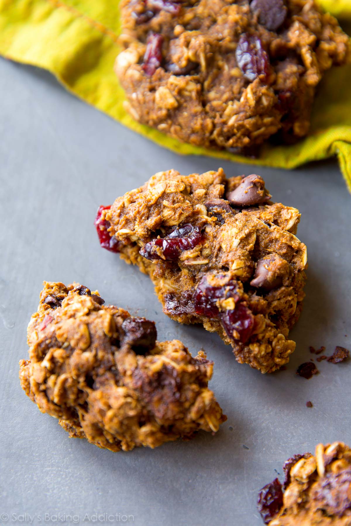 Biscuits à l’avoine aux pépites de chocolat à la citrouille plus saines avec des canneberges séchées! Facile et rapide! Recette sur sallysbakingaddiction.com