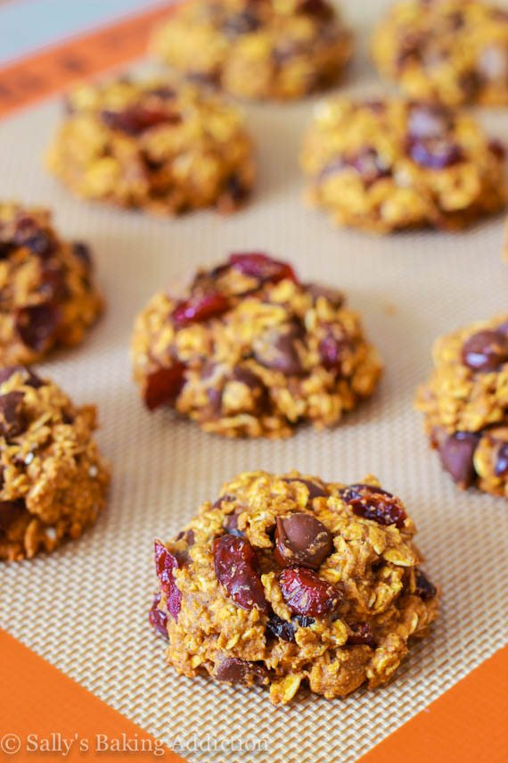 Biscuits à l’avoine aux pépites de chocolat à la citrouille plus saines avec des canneberges séchées! Facile et rapide! Recette sur sallysbakingaddiction.com