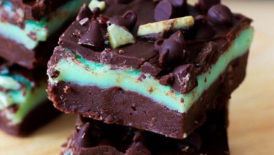 Photo of Andes Menthe Chocolate Chip Fudge