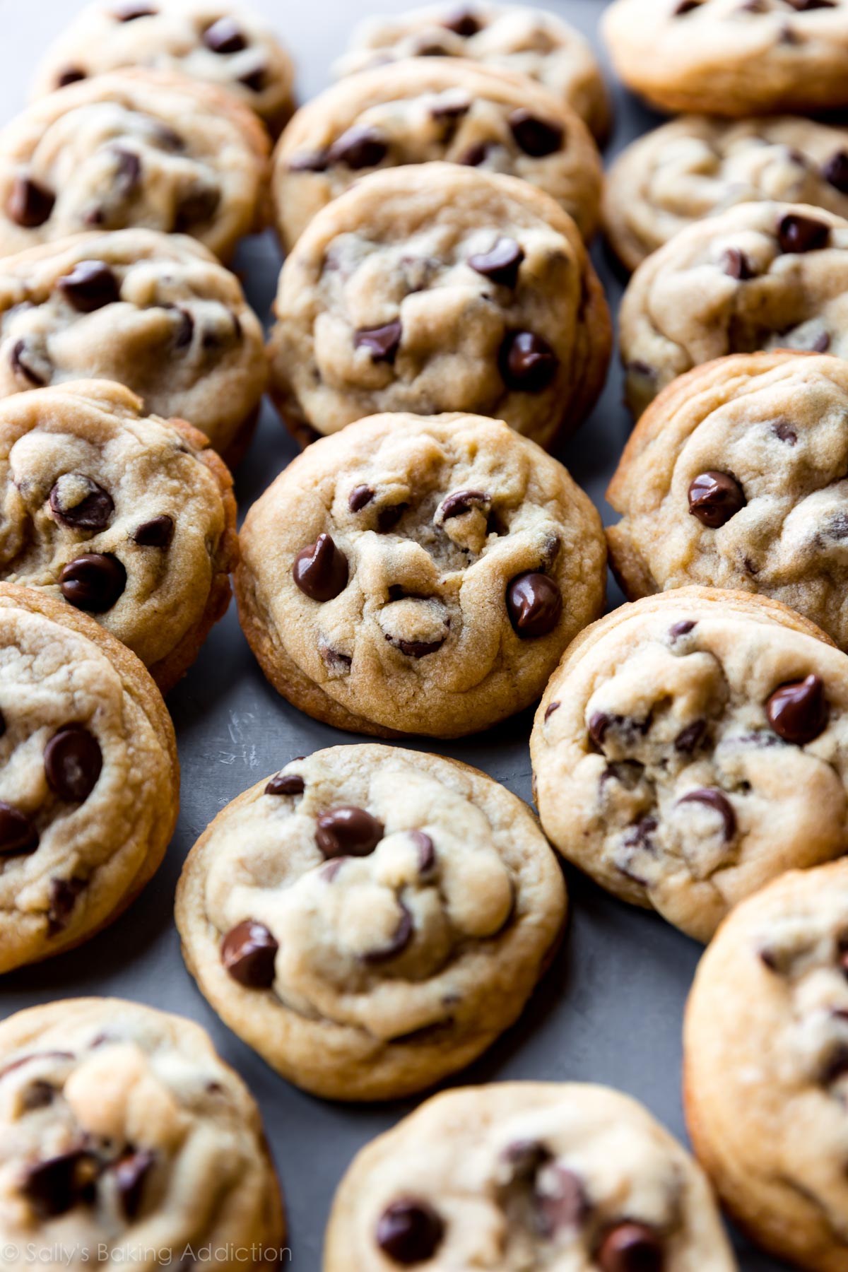 Rangées de biscuits aux pépites de chocolat