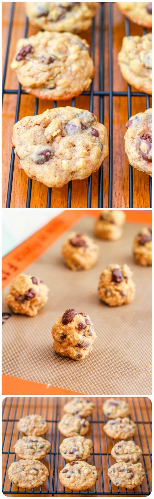 Biscuits de raisin de farine d’avoine par sallysbakingaddiction.com