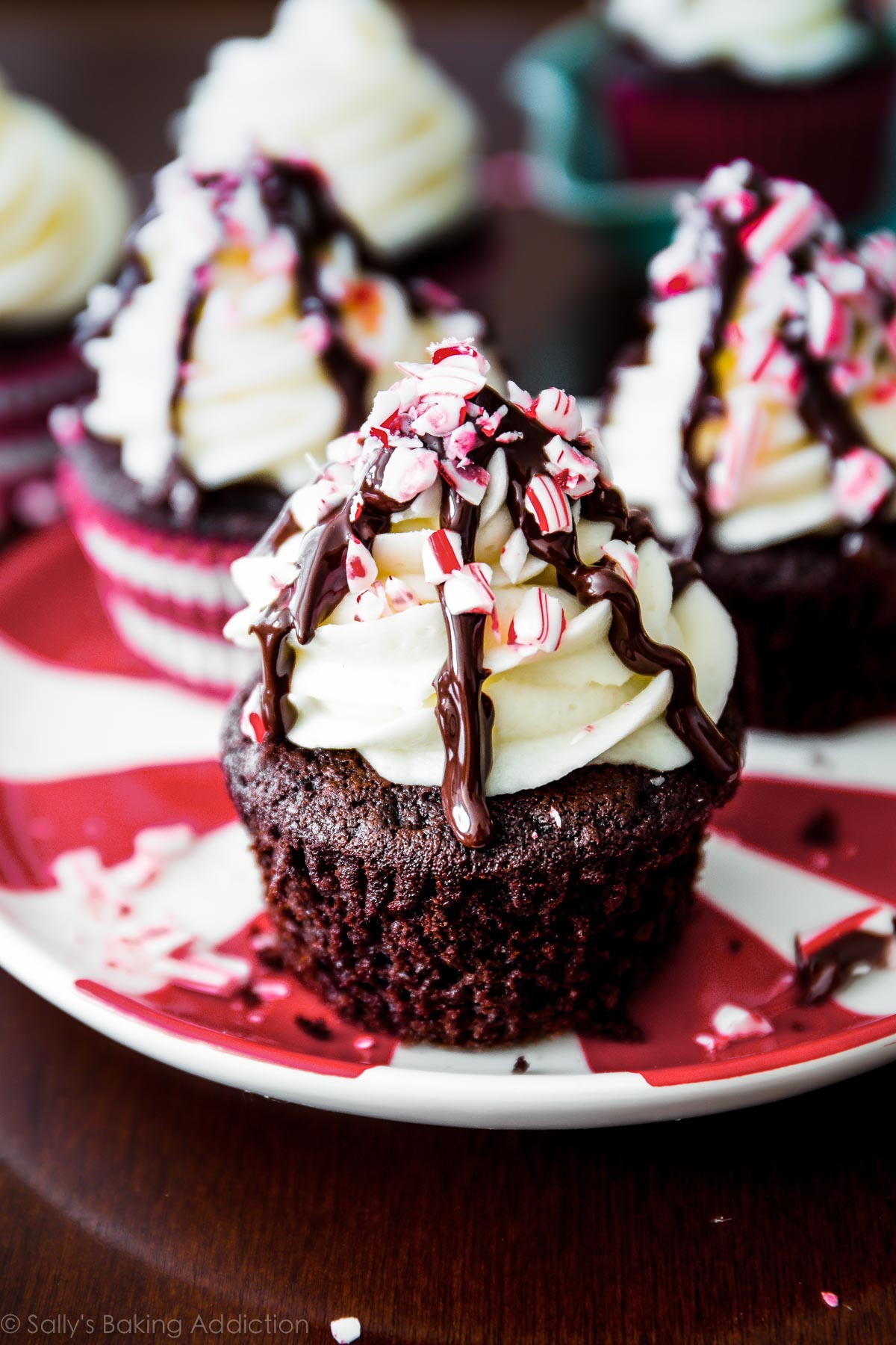 Cupcakes à la menthe poivrée sur sallysbakingaddiction.com. Petits gâteaux au chocolat profond aromatisés à la menthe poivrée et au café, garnis de glaçage à la vanille de menthe poivrée, de cannes de bonbon et d'un filet de chocolat.