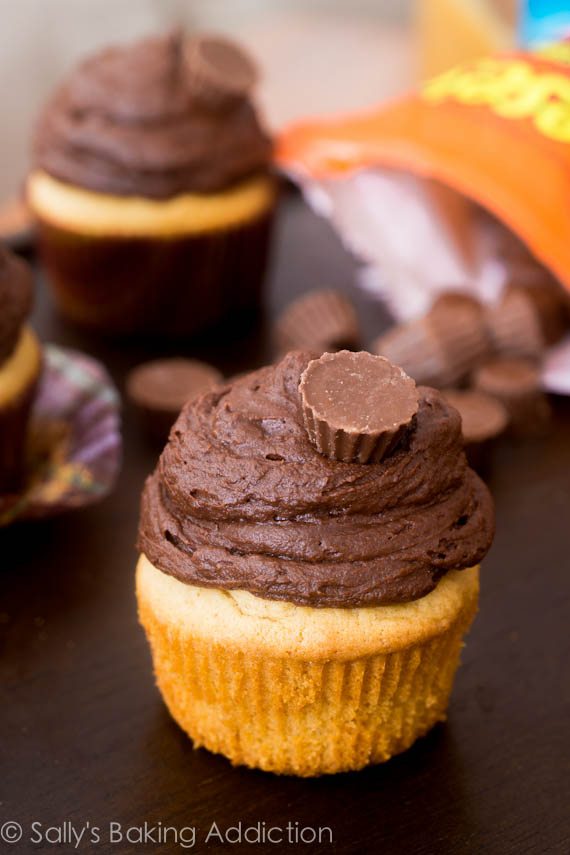 Les meilleurs cupcakes au beurre d’arachide que j’aie jamais eu. Garnir de glaçage au chocolat noir pour une gâterie hors du monde!