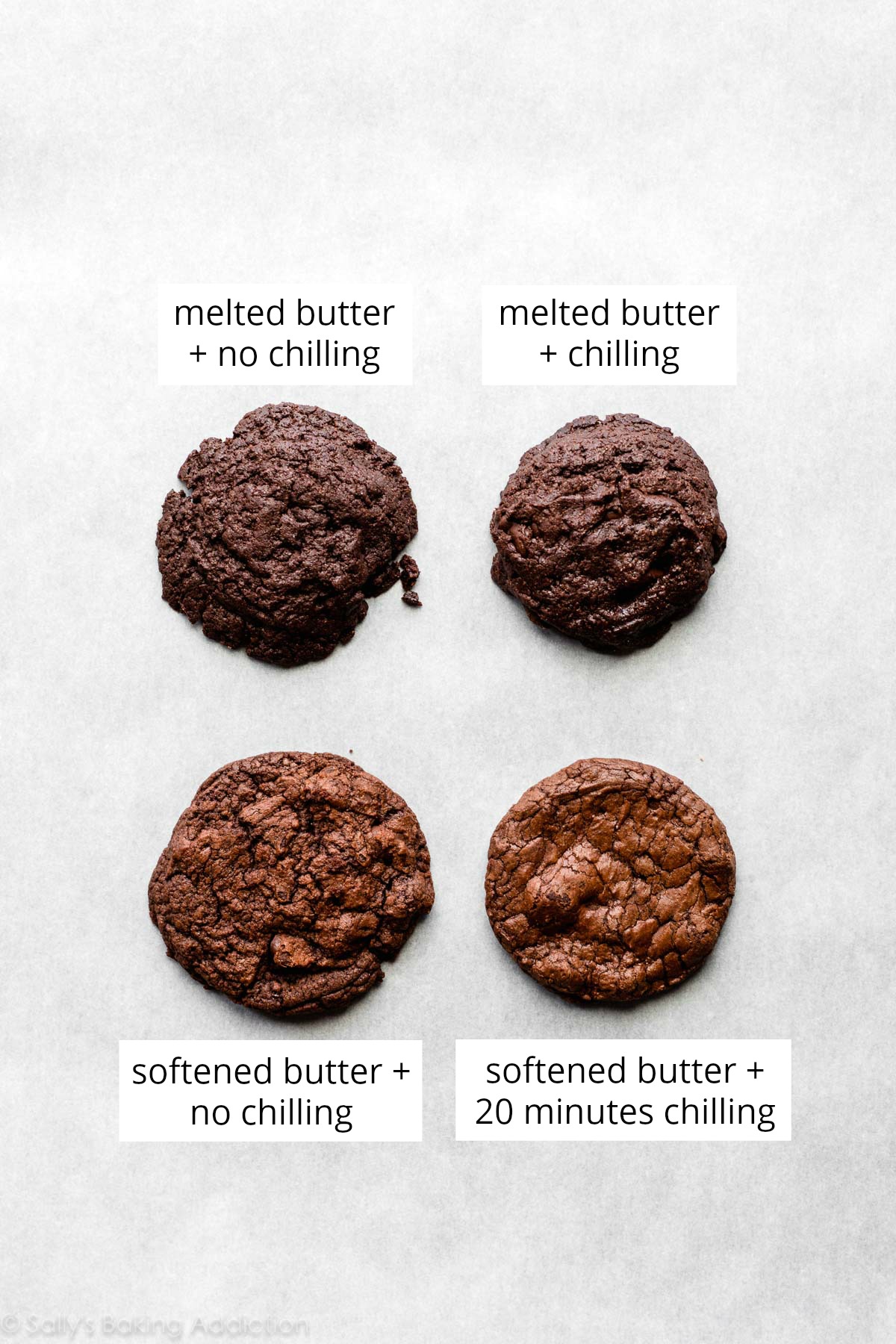 4 biscuits brownie de lots de test