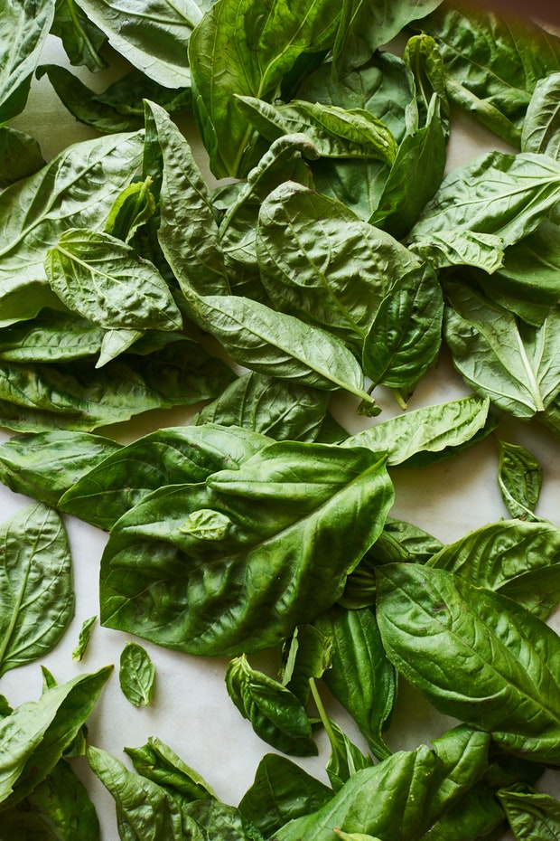 Comment faire du pesto comme une grand-mère italienne