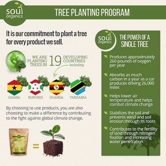 Programme de plantation d'arbres Soul Organics