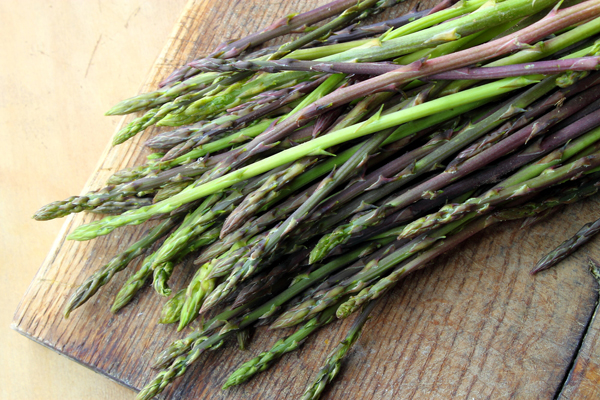 asperges sauvages