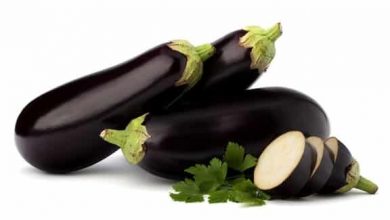 Photo of Ragoût de lentilles d’aubergine